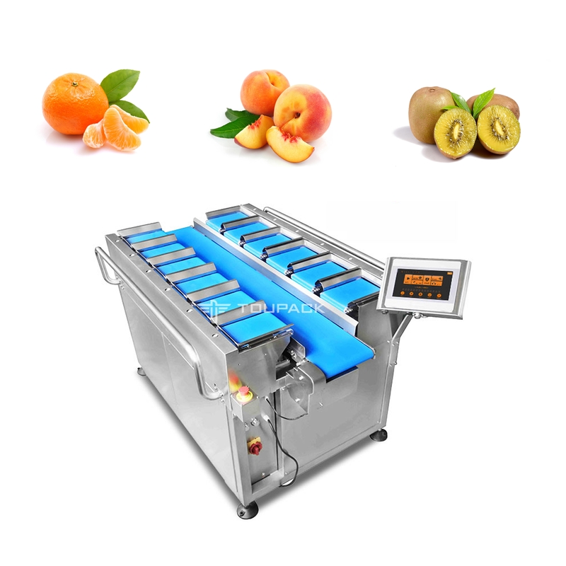 40BPM 10 het Hoofd 14 Hoofd van de de Wegersmandarijn van Fruitmultihead de Riemtransportband Oranje Wegen