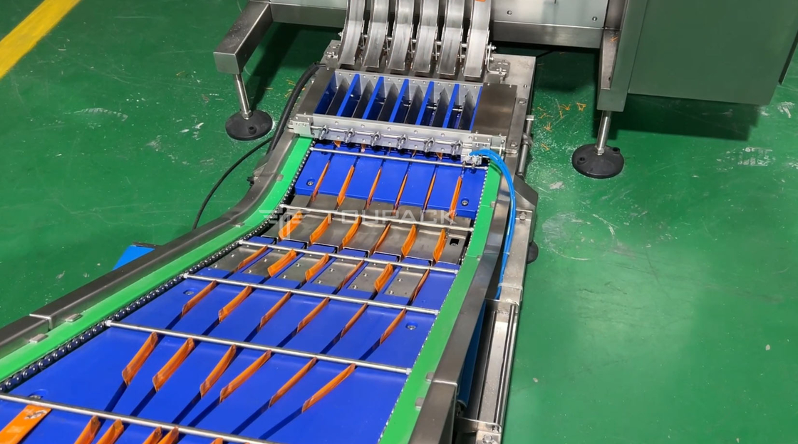 Multi-Column Packager Checkweigher System Multi Lane Sachet Packing Machine Sachets Packing Machine Met Check Weigher