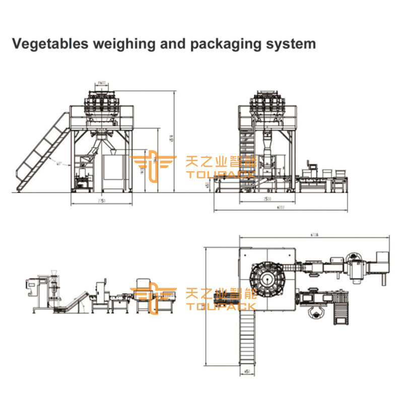 Sausage Wrapping Machine for Box Marinated Tofu Cartons Sachet Pouch Carton Box Packing Cartoning Machine
