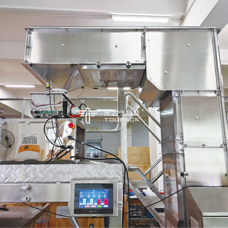 Spice Poeder Verpakkingsmachine 100g 200g 500g Chili Poeder Verpakkingsapparatuur Poeder Vul- en Sluitmachine