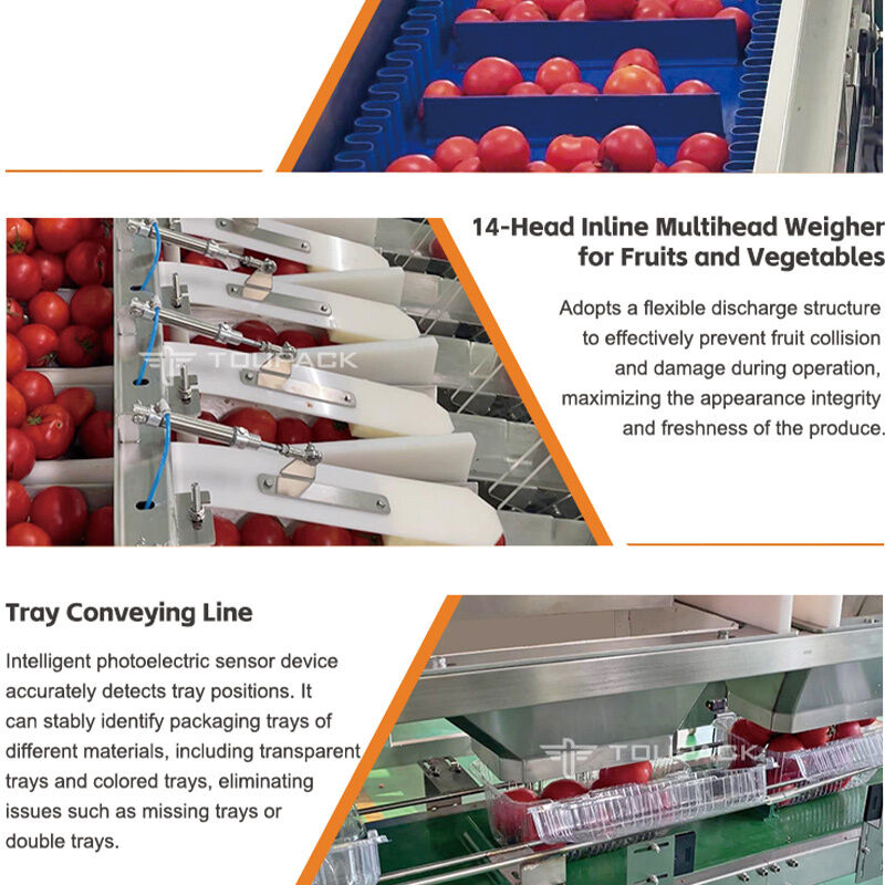 Lineaire Weger Automatische Cherry Tomaat Fruit Groente Dienblad Afdichtende Verpakkingslijn Met Hoge Precisie Weegsysteem