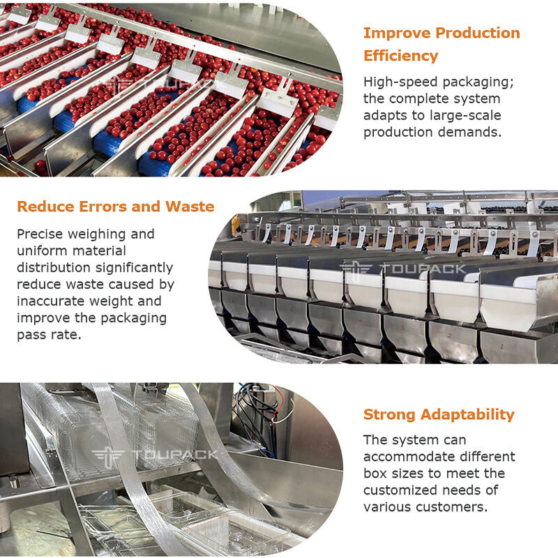Lineaire Weger Automatische Cherry Tomaat Fruit Groente Dienblad Afdichtende Verpakkingslijn Met Hoge Precisie Weegsysteem