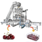 Fruit de Wegende en Verpakkende Machine Cherry Linear Filling Production Line van Multihead