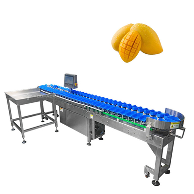 Roestvrij staal 304 Automatische Groottesorteermachine voor de Groenten van het Mangofruit het Sorteren