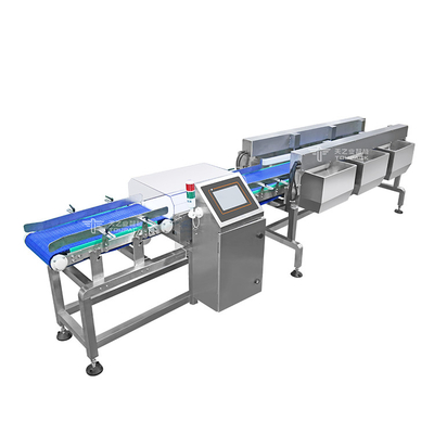 Automatische transportband gewichtssorteermachine Voedsel Industrieel transportbandmachine