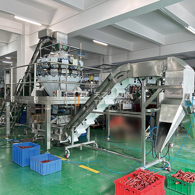 Zemi-automatische 12/14-kop multihead weegmachine verpakkingsmachine