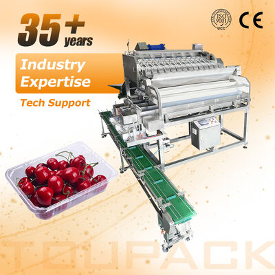 Lineaire Weger Automatische Cherry Tomaat Fruit Groente Dienblad Afdichtende Verpakkingslijn Met Hoge Precisie Weegsysteem