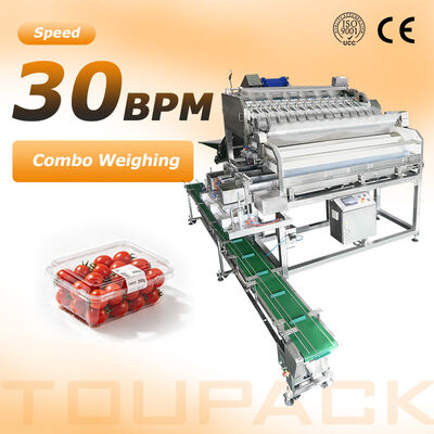Fruitschaalafdichtingsverpakkingslijn | Met automatische tray-ontnester en fruitlineaire weger