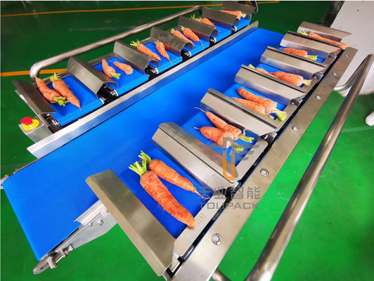 Van het de Riemfruit van wortelgroenten IP65 12 de Weger van Multihead
