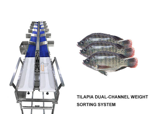 Dubbel - kanaaltilapia Gewichtssorteermachine 6 Niveau