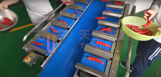 Chili Carrot Food Grade Siemens-Riemweger voor Onregelmatig Product