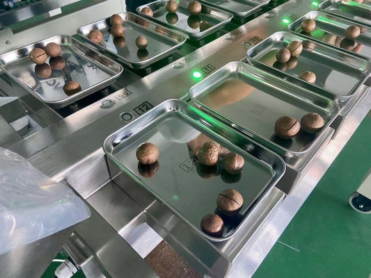 SS304 Weger 12 van Multihead van het Desktopfruit Hoofd het Wegen Schaal
