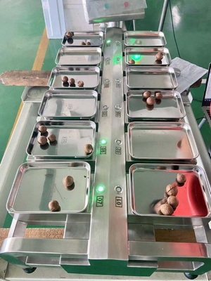 PLC van Siemens Desktopschaal 10“ HMI-Roestvrij staal voor Fruitgroenten