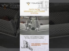 Van de de Doosverpakking van de aanpassingsDadelpalm van de de Lijnkorrel Lopende band van de de Vullende Machine de Automatische Productie