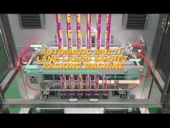 TOUPACK Multi-Lane Back Seal-verpakkingsmachine Granulaire poeder-vloeistofverpakkingsmachine