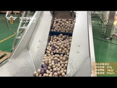 TOUPACK Bevroren vleesballen weeg- en verpakkingssysteem