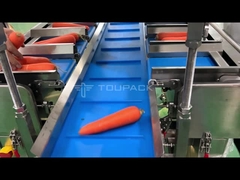 Semi-automatische wortel weeg- en verpakkingsmachine groente mesh zak verpakkingsmachine