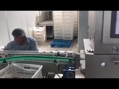 Automatische elektronische röntgeninspectie machine voor de voedingsmiddelenindustrie röntgeninspectiesysteem