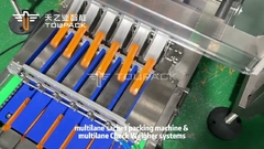 Industriële zakverpakkingsmachine met meervoudige lijnen