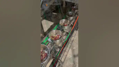 Papegaaivoeding Huisdiervoeding VFFS Noten Granula Freeze Gedroogd Fruit Verpakkingsmachine Voor Gedroogd Fruit