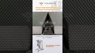 Dit multiheadwegersysteem is ontworpen voor bevroren visballetjes